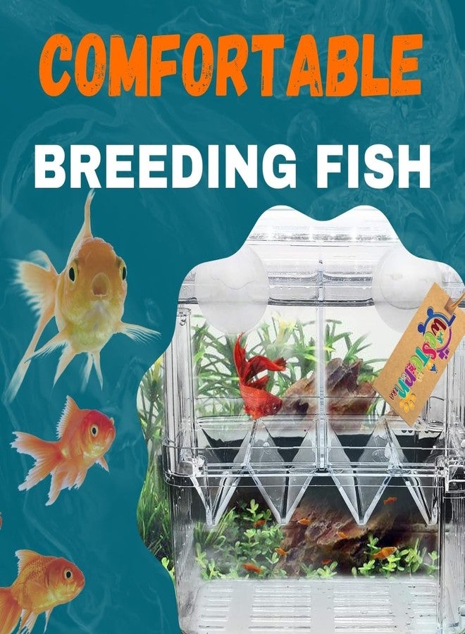 Western Era Fish Isolation Chamber Offers a Secure and efficient Method for segregating Fish Within Aquarium. Its Adaptable Design Allows for Customized use, Serving as an Aquarium Isolation Chamber. - Image 5